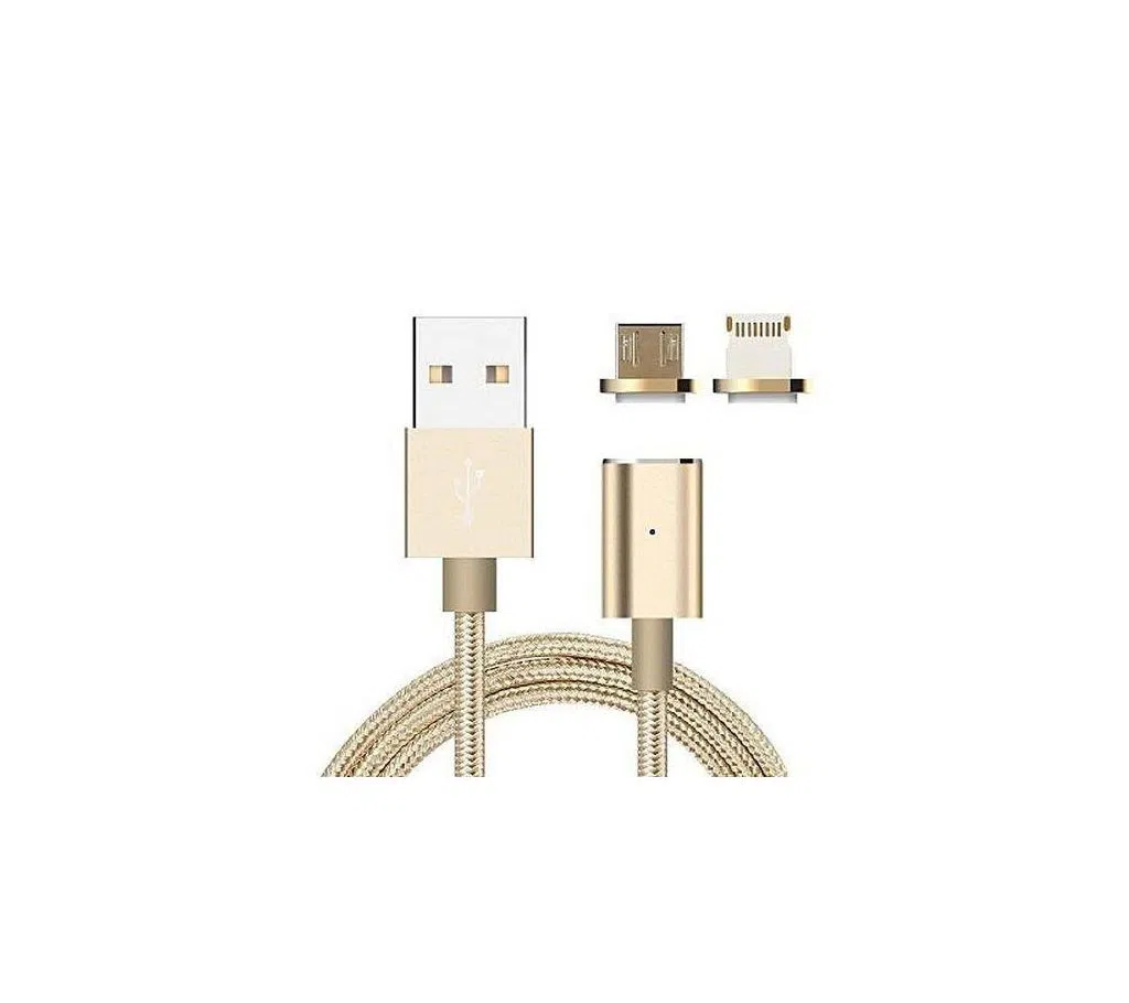2-In-1 Lightning and Micro-USB Magnetic Cable