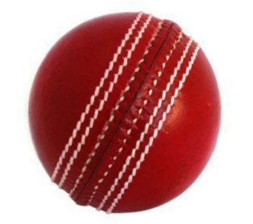 Samse Cricket ball