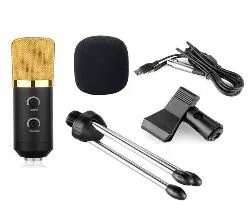 BM-100 FX USB Powered Condenser Studio Recording Microphone