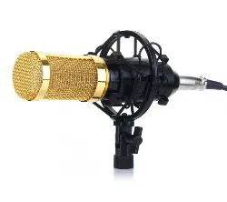 BM800 Microphone-  Condenser Microphone For YouTube Studio