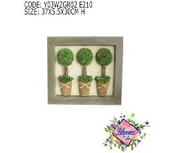 3 GREEN TOPIARY IN PICTURE FRAME