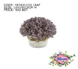 LAVENDER FLOWERS IN BALL SHAPED IN A PLANTAR