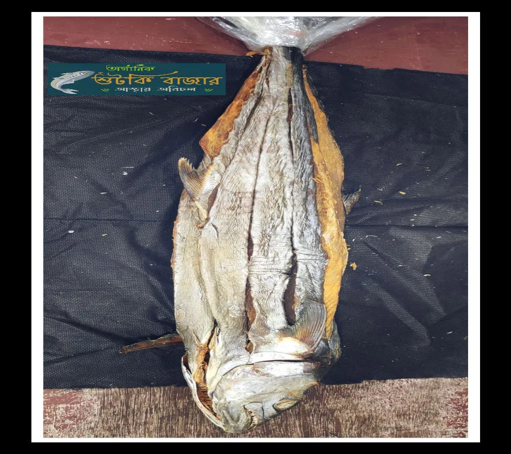 Tuna Fish 1kg 200gm