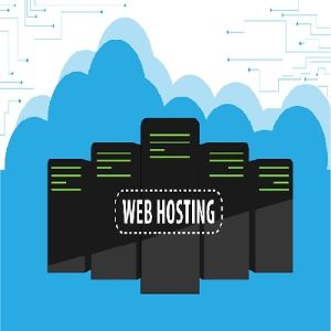 2 GB SSD Storage BDIX Web Hosting 1 Year Validity