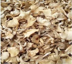 Dry Oyster Mushroom 100 Gram