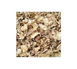 Dry Oyster Mushroom 500 Gram