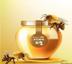 Natural Honey - kg 