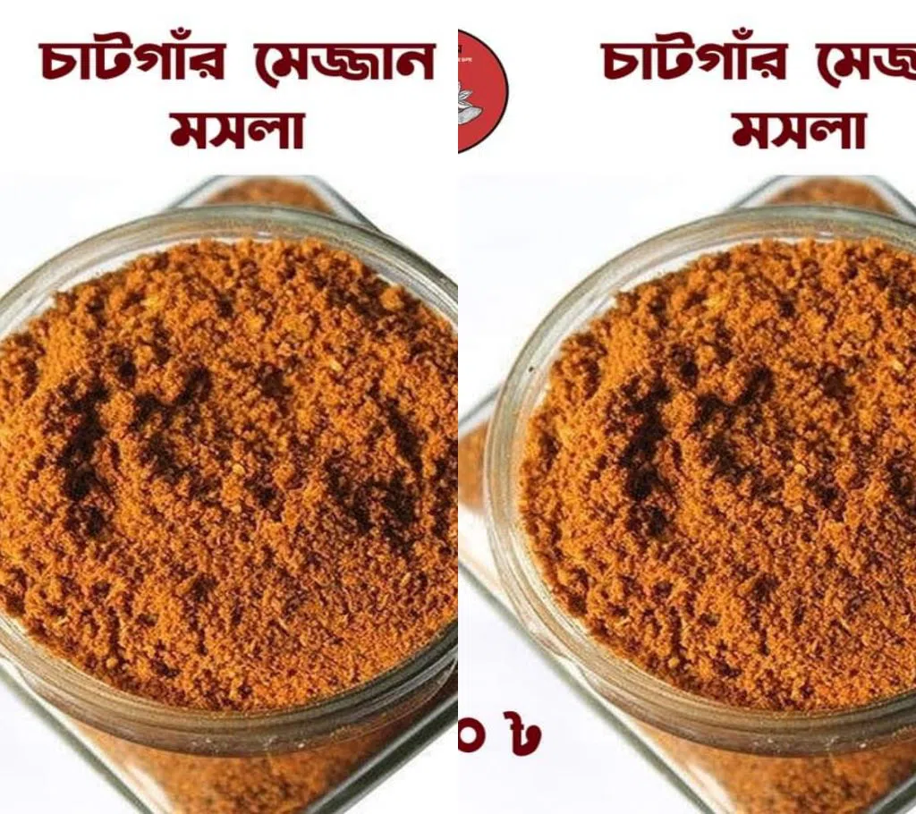 Chatga Mejjan Moshla - 100 gram (BD)