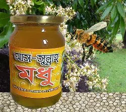 As Sunnah Pure Litchi Flower Honey 500 gm BD