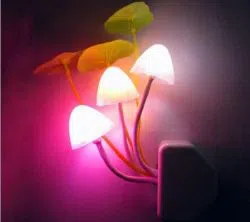 LED Mushroom Night Light Lamp Dream Light