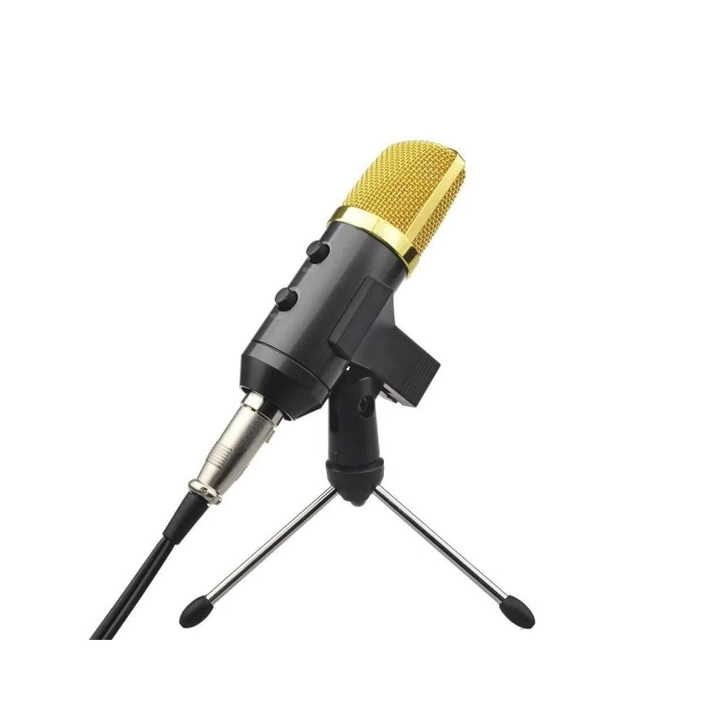 Huashun  Bm100fx Cardioid Pick-Up Condenser Microphone  Dnm
