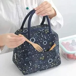 New Waterproof Food carrying bag/Lunch Bag For Women.