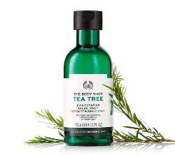 The Body Shop Tea Tree Skin Clearing Face Wash 250ml UK