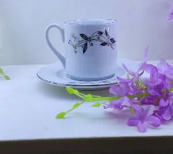 12 pcs Exclusive Ceramic Tea Cup Set And Saucers Ceramic Tea And Coffee Set Off White Color With Printed