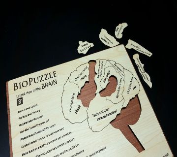 Bio Puzzle (Brain)(Lateral View) Wooden