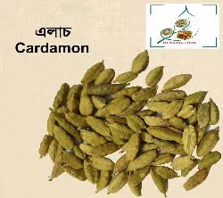 Cardamon  50 Gram