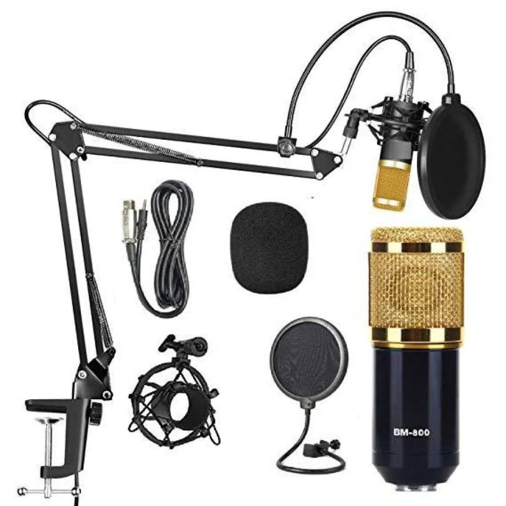 TECHTEST Professional BM-800 Microphone with Mic Stand