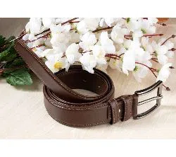 Brown Leather Belt for Men (BS_14)