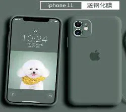 iPhone 11 official silicon case with 360 protection