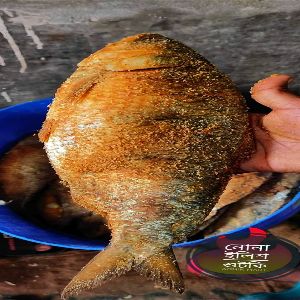 Nona Elish Dry Fish (Nona Elish Sutki)-1kg