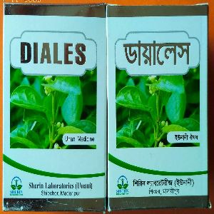 Capsule DIALES -500 mg for Diabetes or Diabetics- 60 Capsules POT (BD)