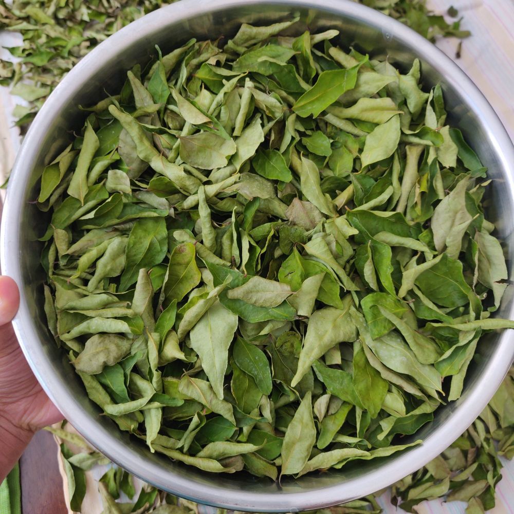Whole Curry Leaf (Asto Karipara) Whole Karipata -50gm