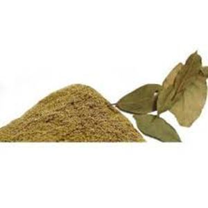 Bay Leaf (Tejpata) Powder -  50 Gram (BD) 