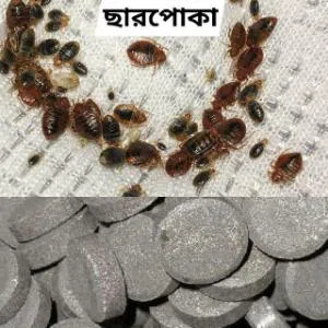 Bedbugs Guarantee Repellent| Charpokar Osudh Indian | 30g