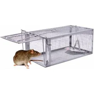 Quality Rat Trap, Humane Live Animal Mouse Cage Traps, Catch and Release Mice, Rats,Chipmunk, Pests, Rodents and Similar Sized Pests for Indoor and Ou