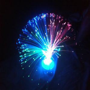 LED Colorful Light Fiber Optic Flower for Home Decorations