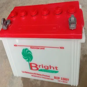 "BRIGHT" Brand 12V 100AH LEAD ACID IPS Battery (30 MONTHS WARRANTY)
