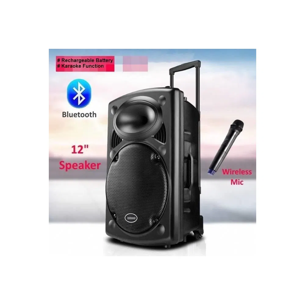 TROLLY SPEAKER -12" WITH  BLUETOOTH MICROPHONE