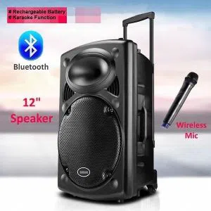 TROLLY SPEAKER -12" WITH  BLUETOOTH MICROPHONE