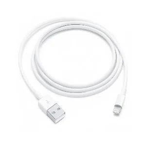 Apple USB Lightning Cable - White