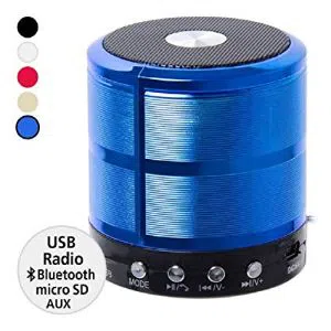 Mini Bluetooth Speaker WS-887