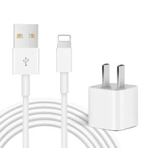Apple iPhone 5W Charger {adapter + cable} 2 pin flat