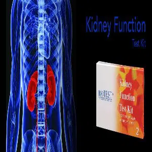 BioTest Kidney function Test Kit