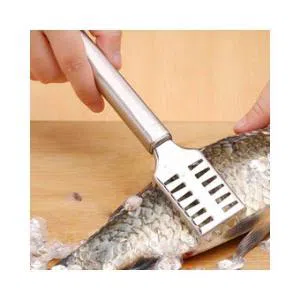 Stainless Steel  Fish Scale Cleaner- Silver