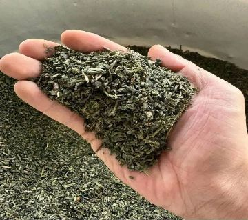 গ্রিন টি - 100 Gram (BD) 